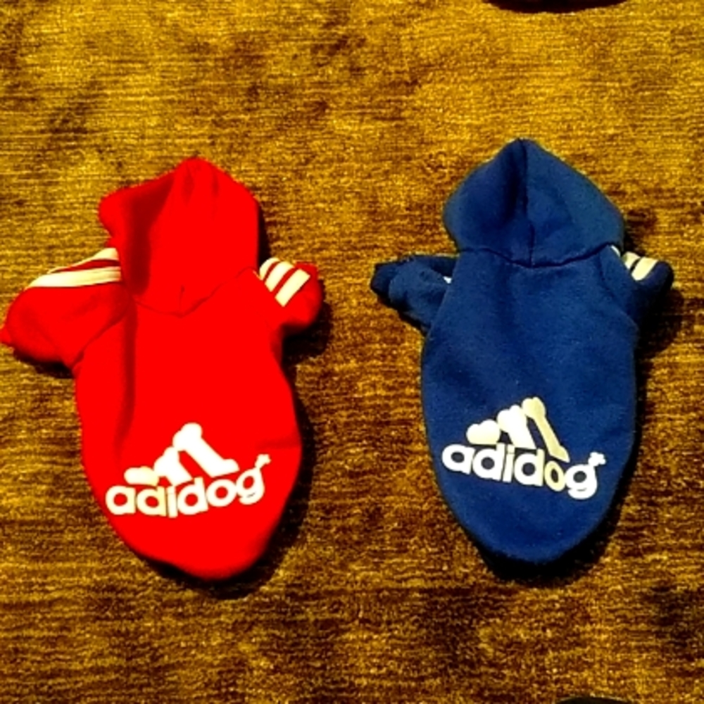 Boy dog clothes hoddie
